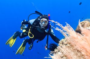 Night Dive
